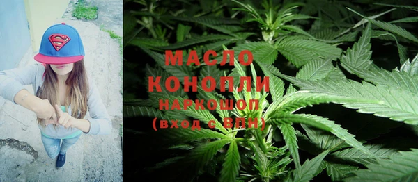 гидра Кинешма