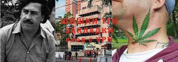 шишки Алзамай