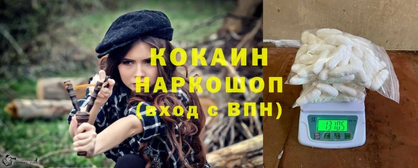 шишки Алзамай