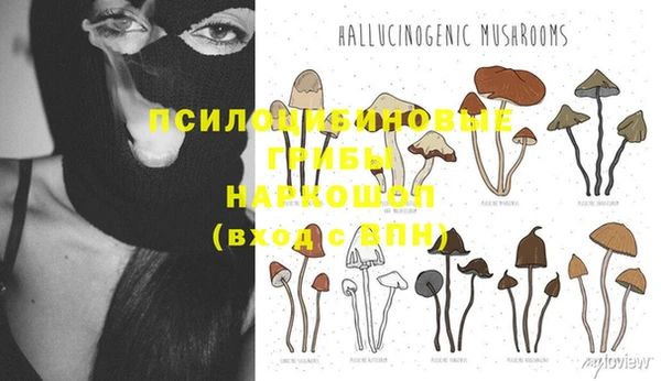 соль курить ск Алексин