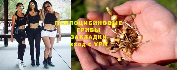 шишки Алзамай