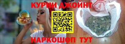 сатива Гай
