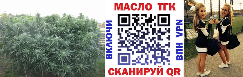 Дистиллят ТГК Wax Менделеевск