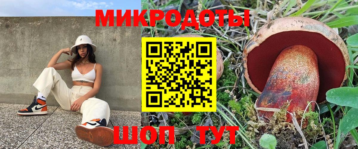 Псилоцибиновые грибы прущие грибы Менделеевск
