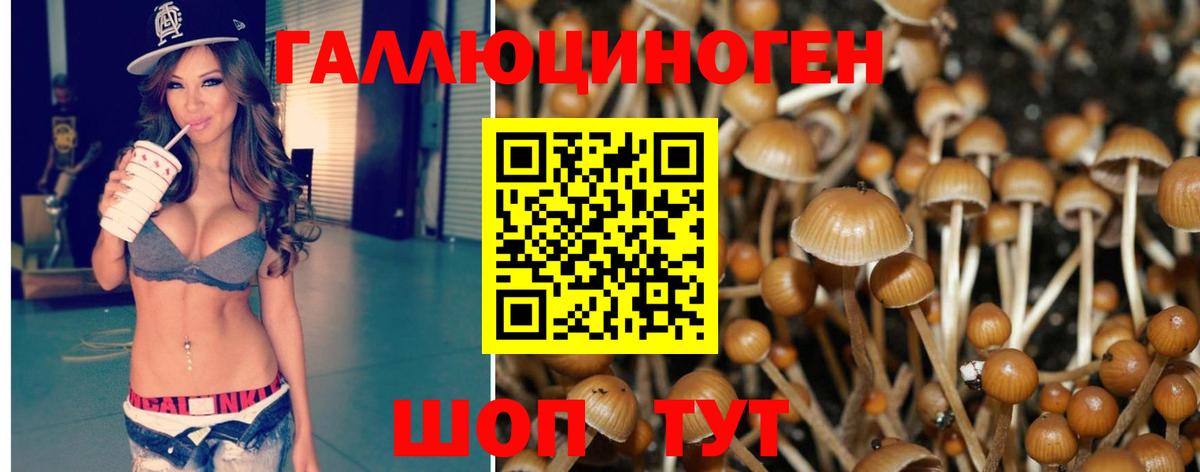 Псилоцибиновые грибы ЛСД  Вход с VPN  Псилоцибиновые грибы Psilocybine cubensis  Менделеевск 